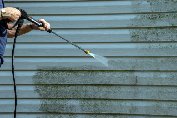 Professional Pressure Washing in Ferrum, VA