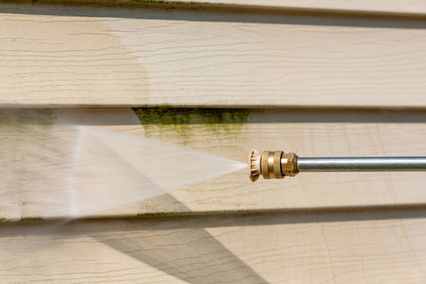 Best Exterior Home Cleaning  in Ferrum, VA
