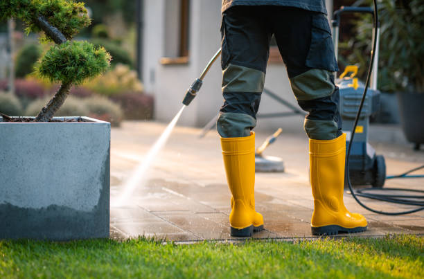 Best Exterior Home Cleaning  in Ferrum, VA